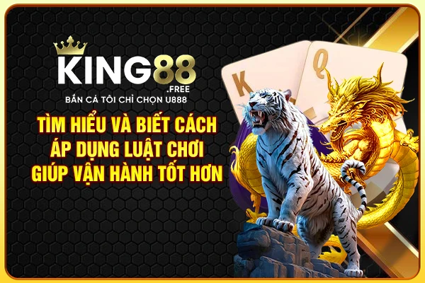 Tìm hiểu và biết cách áp dụng luật chơi giúp vận hành tốt hơn