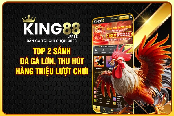 Top 2 sảnh đá gà lớn, thu hút hàng triệu lượt chơi Top 2 sảnh đá gà lớn, thu hút hàng triệu lượt chơi