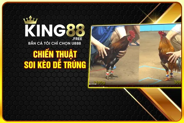 Chiến thuật soi kèo dễ trúng