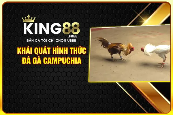 Khái quát hình thức đá gà Campuchia