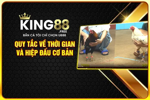 Quy tắc về thời gian và hiệp đấu cơ bản